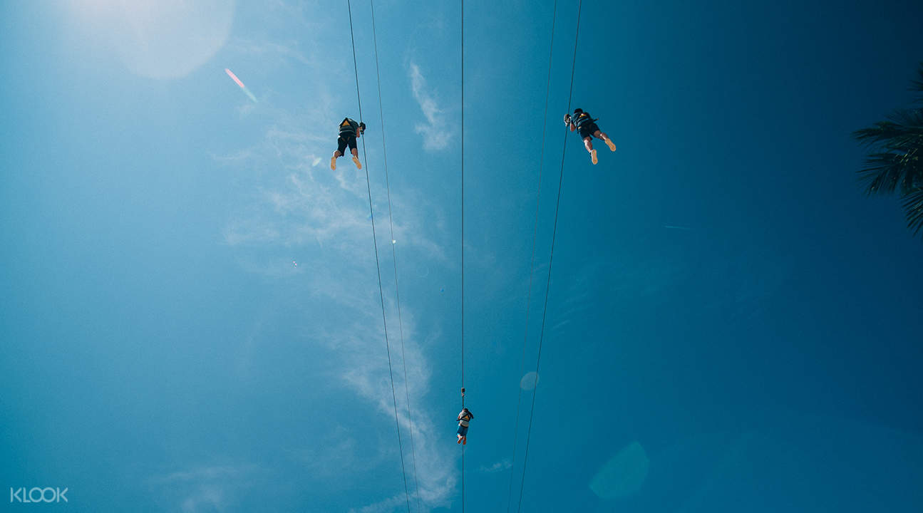 Adventure Park Virginia Beach Promo Code 2019