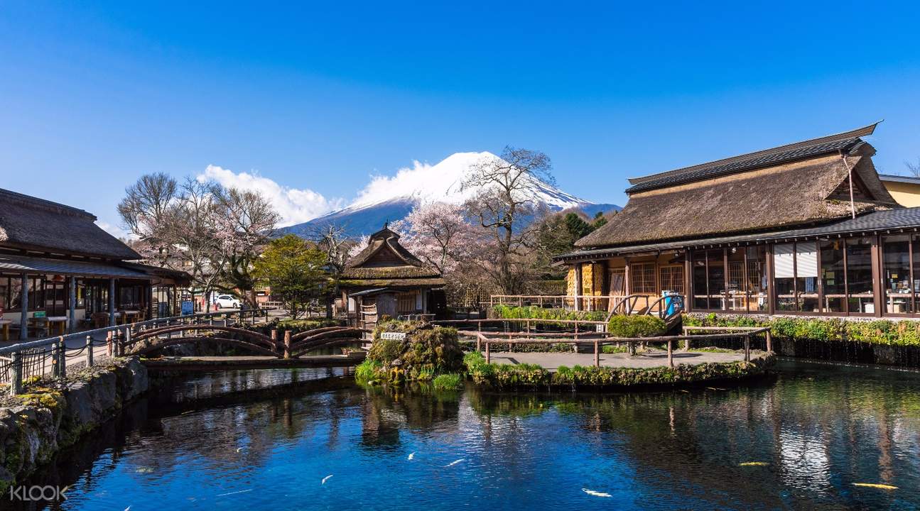 富士山五合目 & 河口湖 & 忍野八海 & 御殿场outlet 经典路线一日游