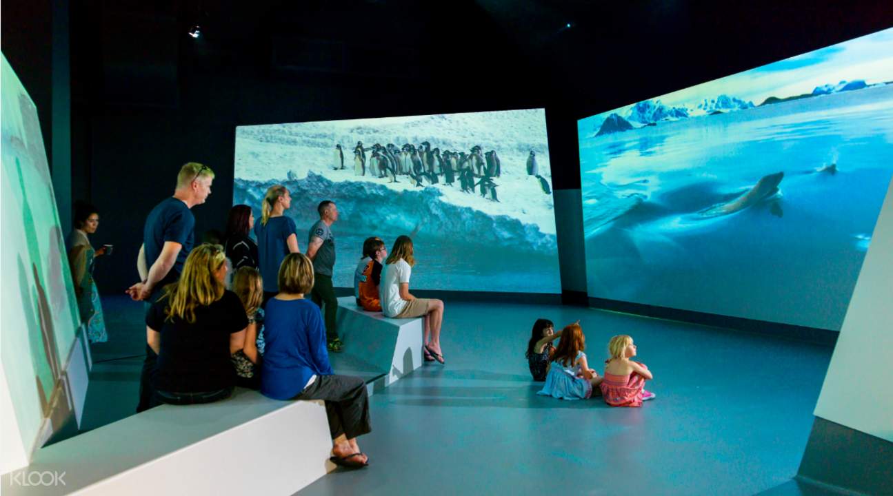 諾比斯南極之旅