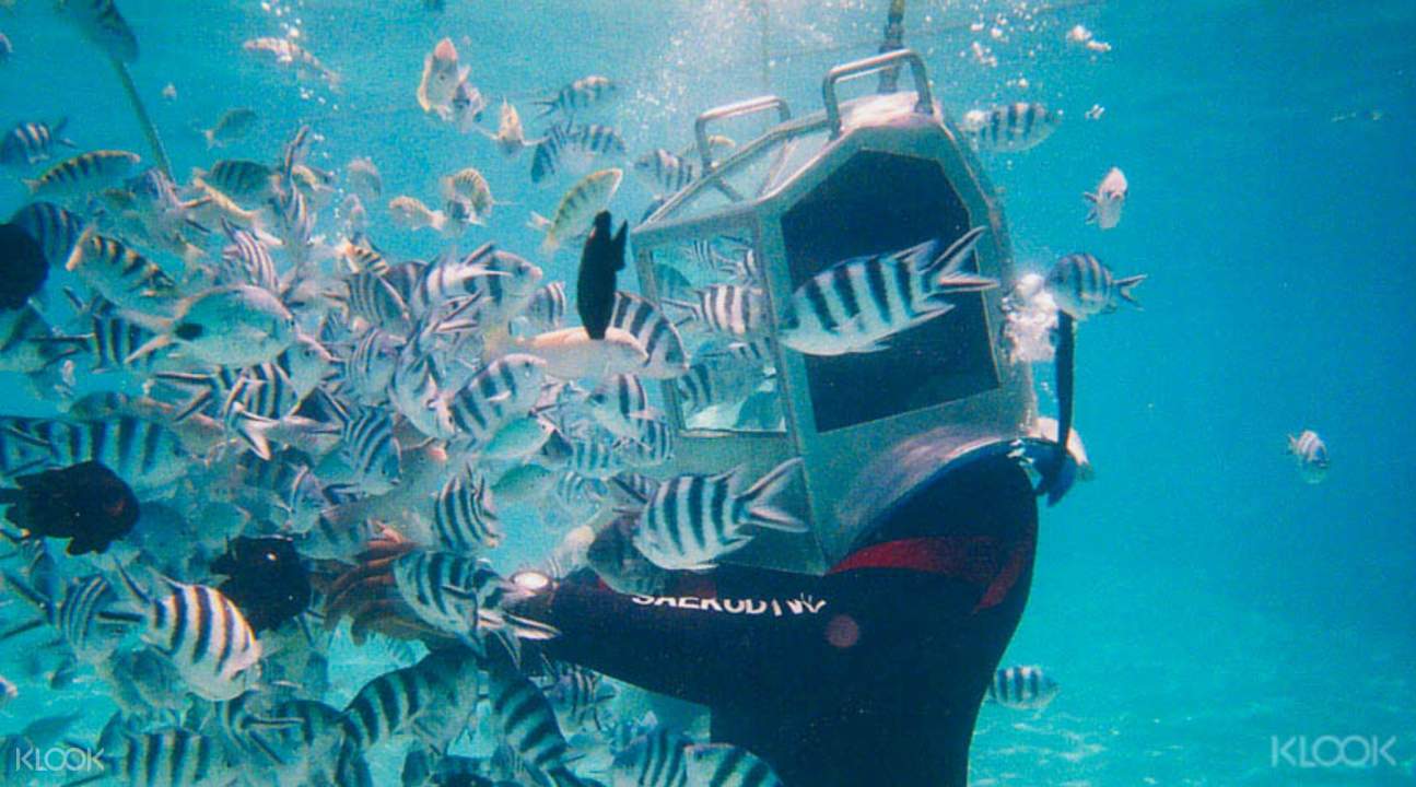 Solar Undersea Walk Klook Uk Solar Undersea Walk Klook Uk