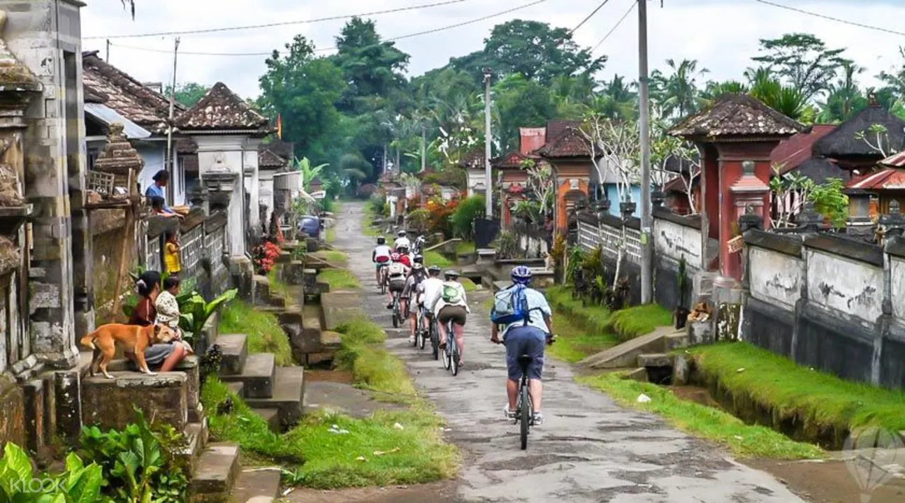 Bali bike tours