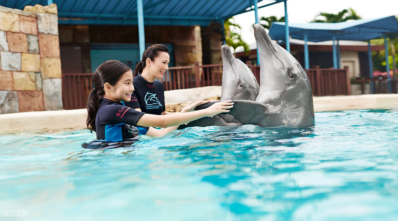 新加坡海豚園