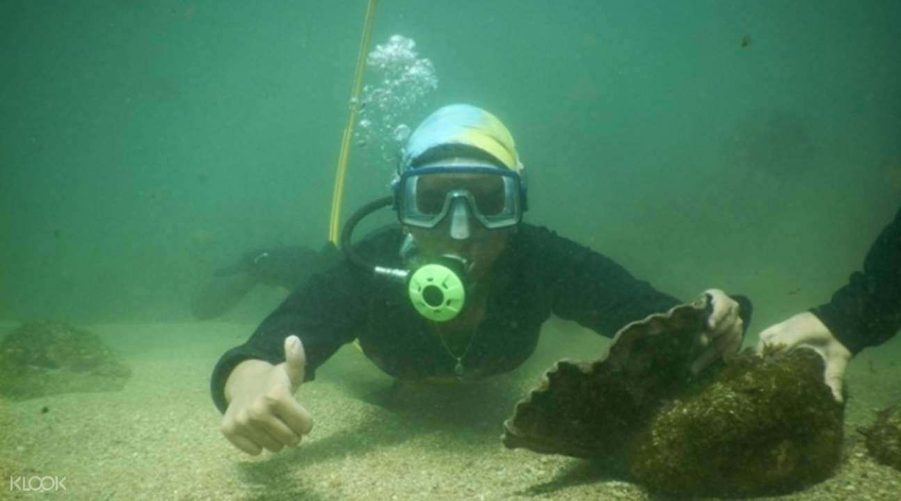 Scuba Diving Experience in Malvan from Goa Klook