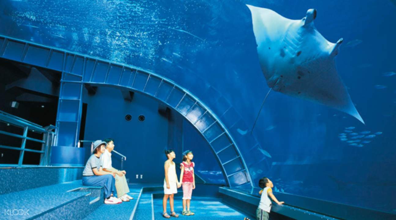 美麗海水族館海洋觀覽室中