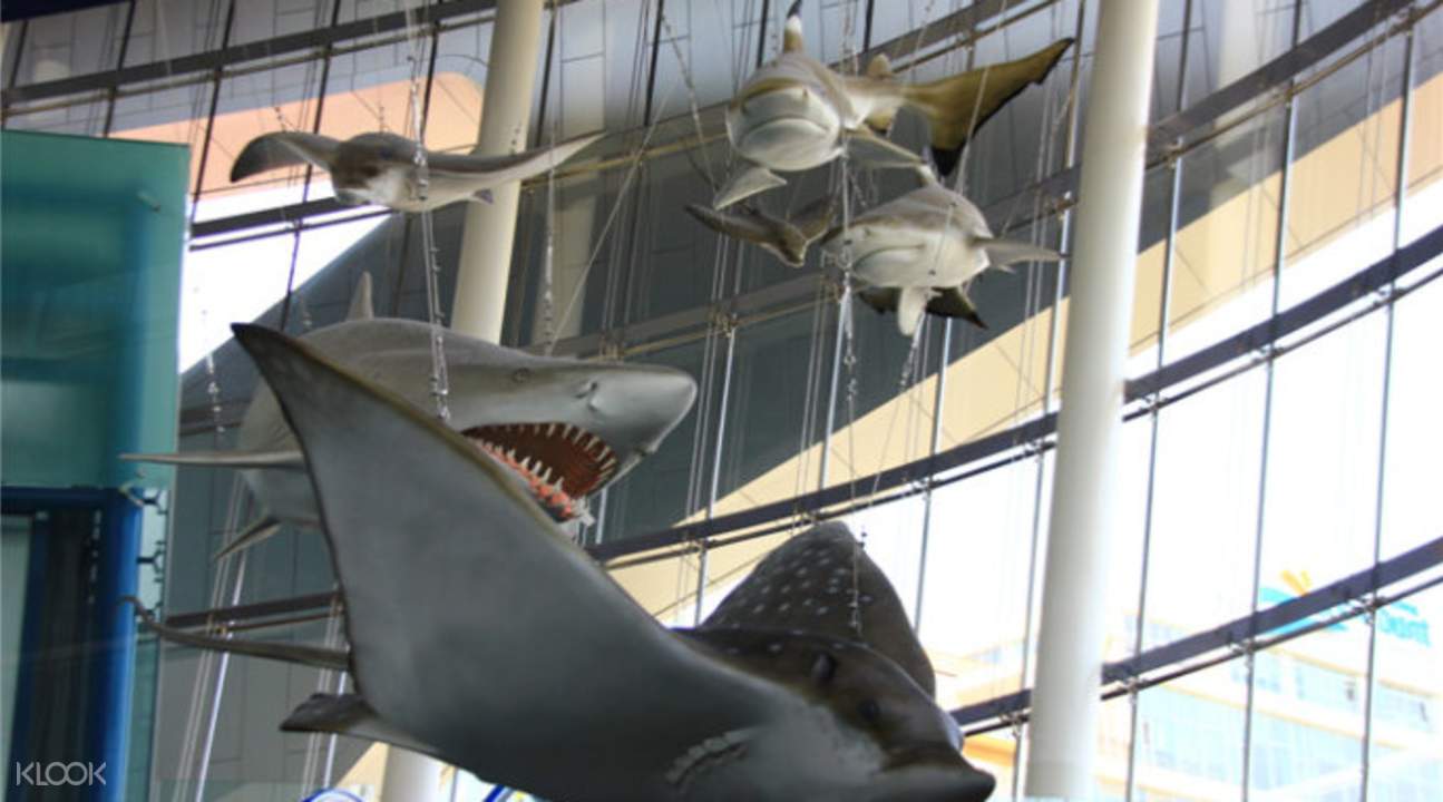 Hanwha Aqua Ilsan Aquarium Tickets in Gyeonggido, South Korea