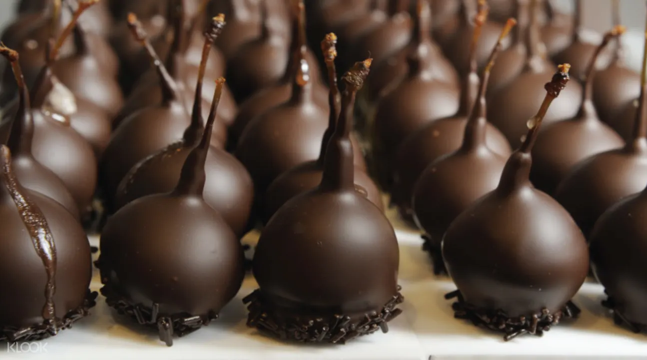 莫寧頓半島一日遊,莫寧頓半島,墨爾本周邊一日遊,弗林德斯巧克力工廠