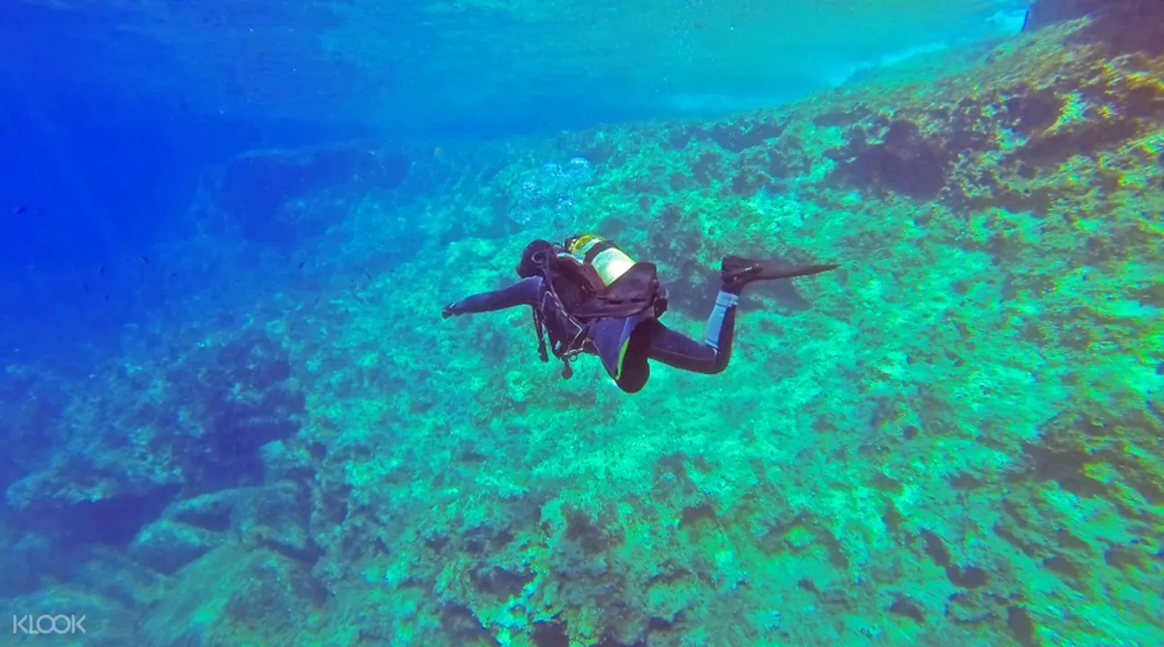 Scuba Diving Adventure Ngapali Myanmar Klook Us