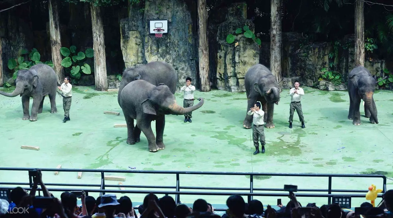 廣州長隆野生動物世界門票(中國籍遊客限定)