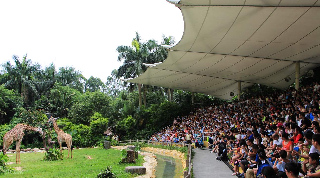 สวนสัตว์ซาฟารีฉางหลง