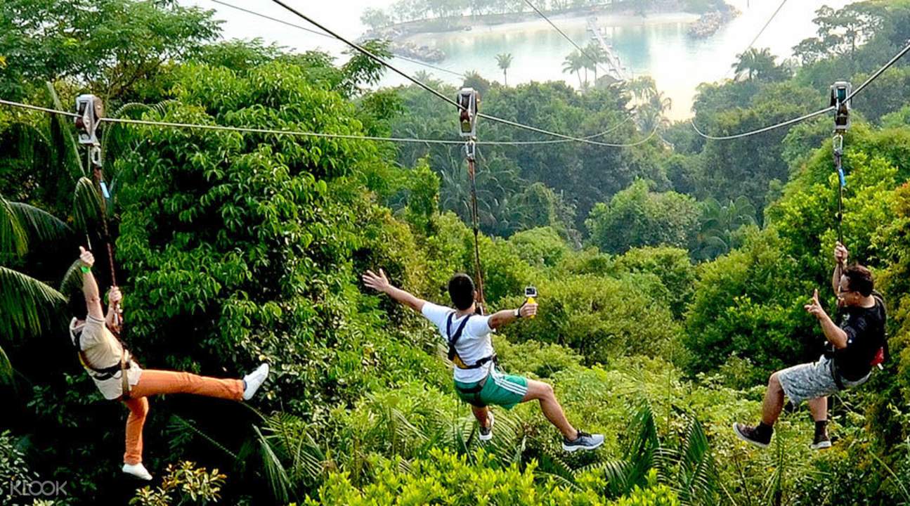 Image result for MEGAZIP LOGO SINGAPORE