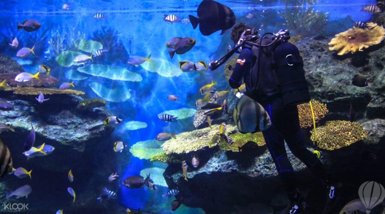 泰國暹羅海洋世界水族館