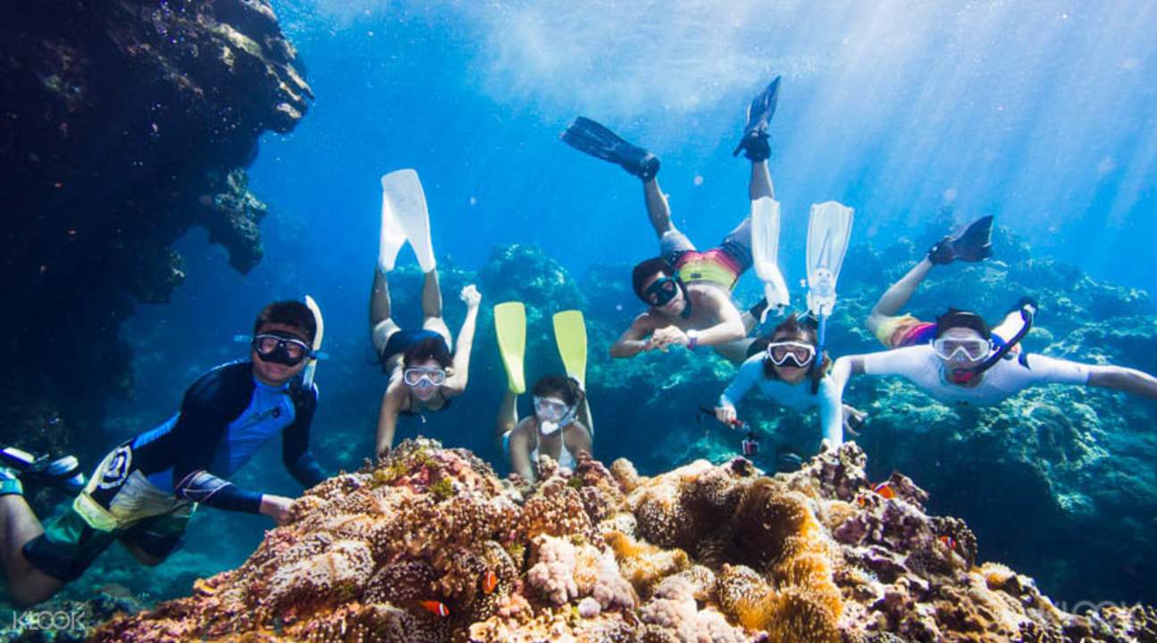 my scuba diving experience Ever wonder what it's like to experience an earthquake underwater while scuba diving this diver relives the experience. my scuba diving experience Ever wonder what it's like to experience an earthquake underwater while scuba diving this diver relives the experience.