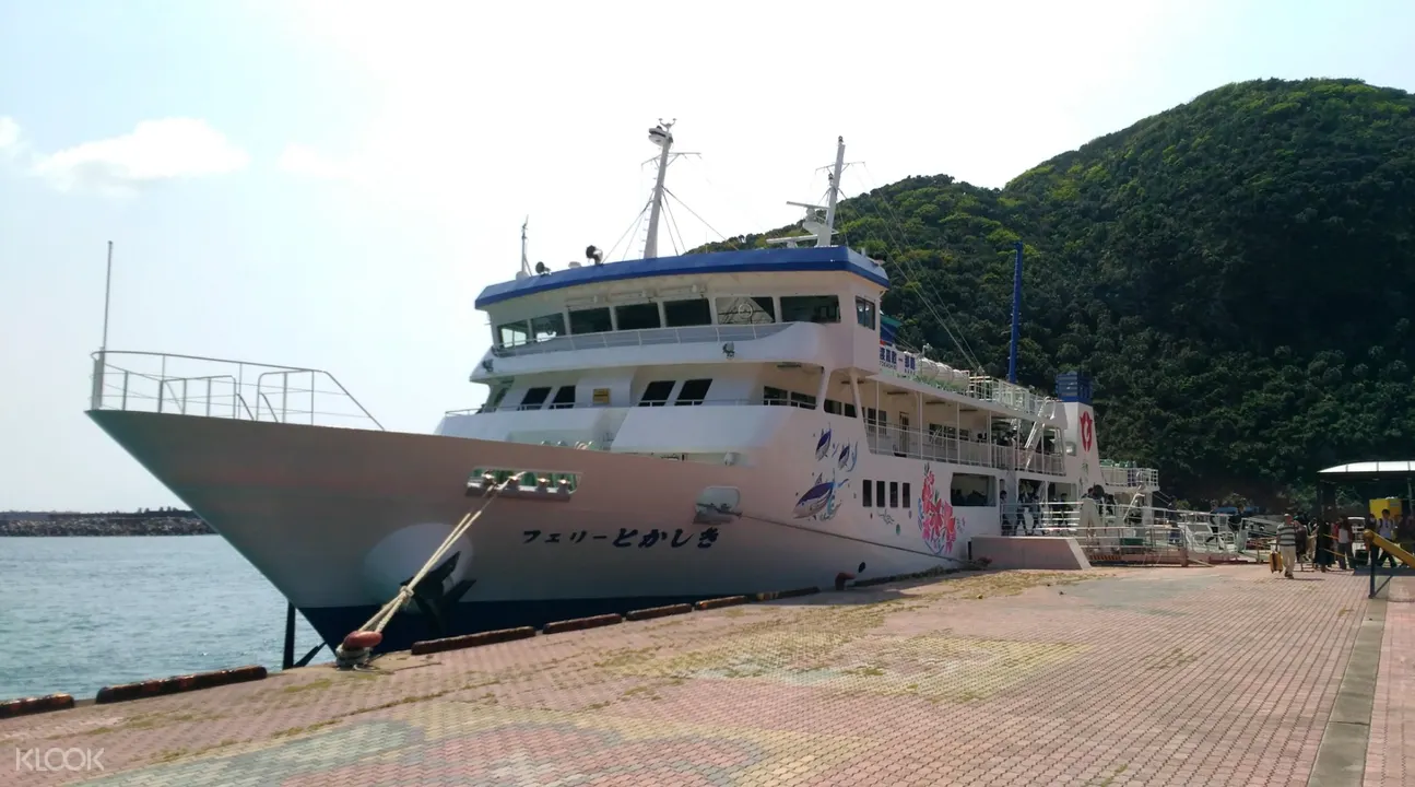 慶良間 渡嘉敷島 海水浴 シュノーケリング 日帰りツアーの予約 阿波連 とかしくビーチ Klook クルック 慶良間 渡嘉敷島 海水浴 シュノーケリング 日帰りツアーの予約 阿波連 とかしくビーチ Klook クルック