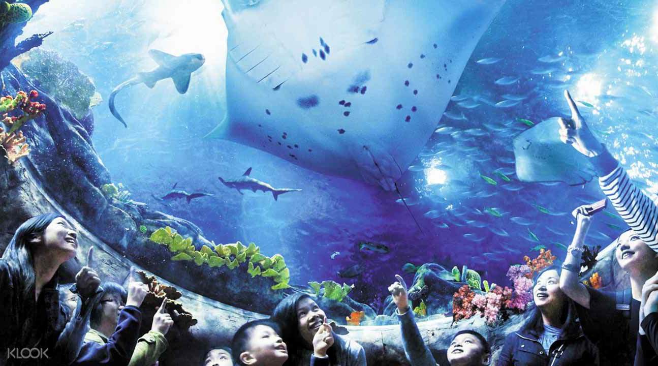 香港海洋公園門票