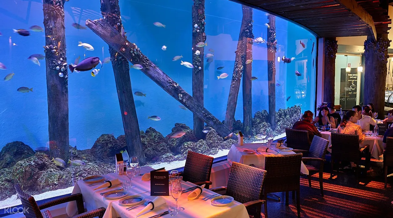 澳洲凱恩斯水族館入場門票 Klook客路香港