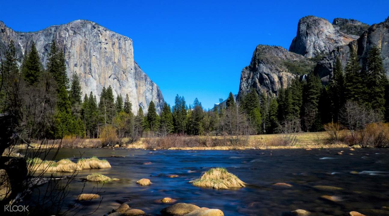 Yosemite National Park Whole Day Tour From San Francisco Us