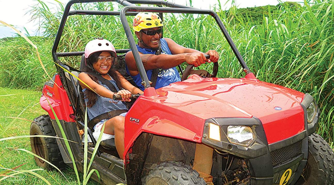 off road double buggy