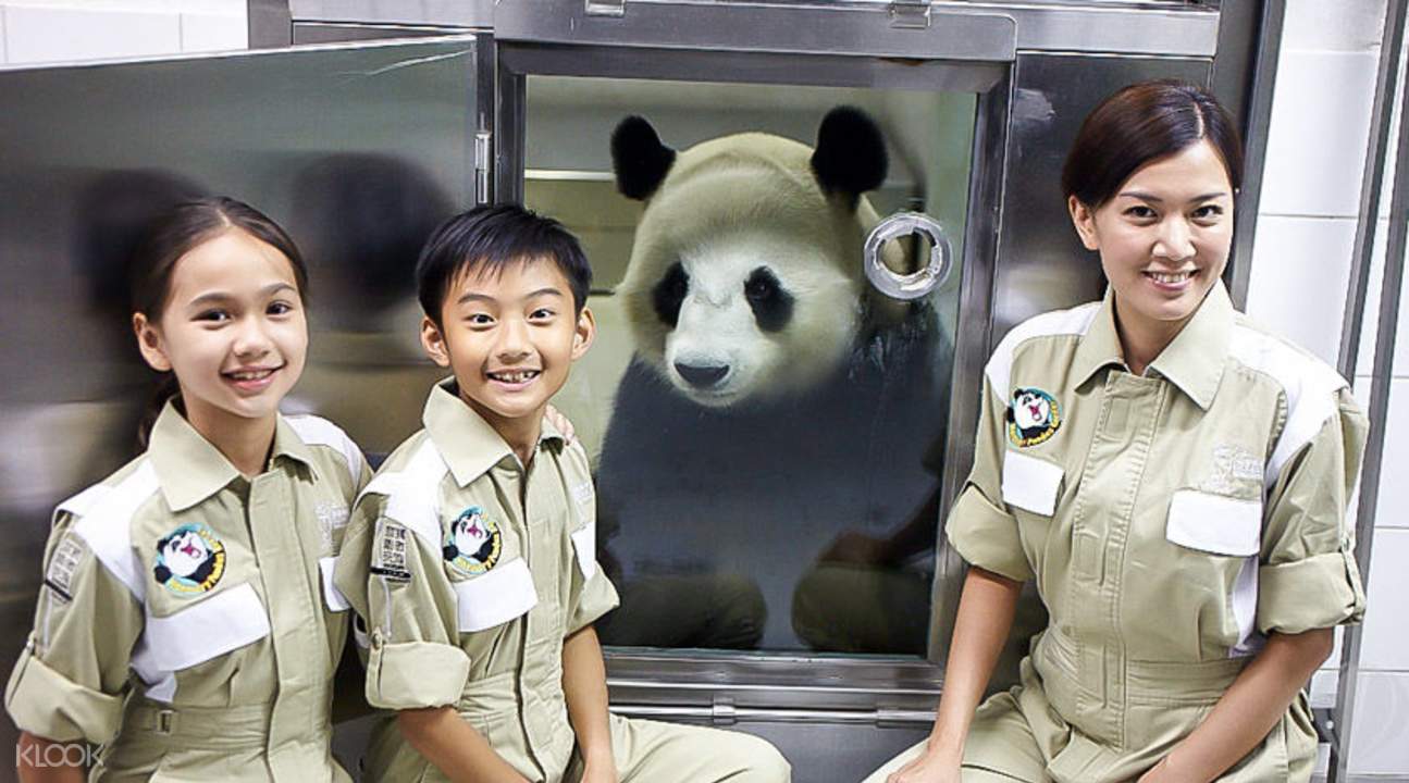 大小熊貓護理員