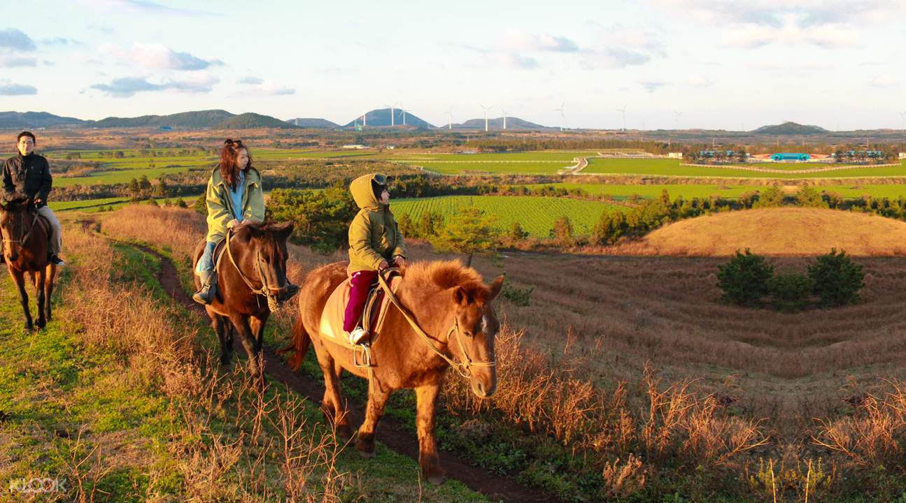 濟州島軛頭騎馬場