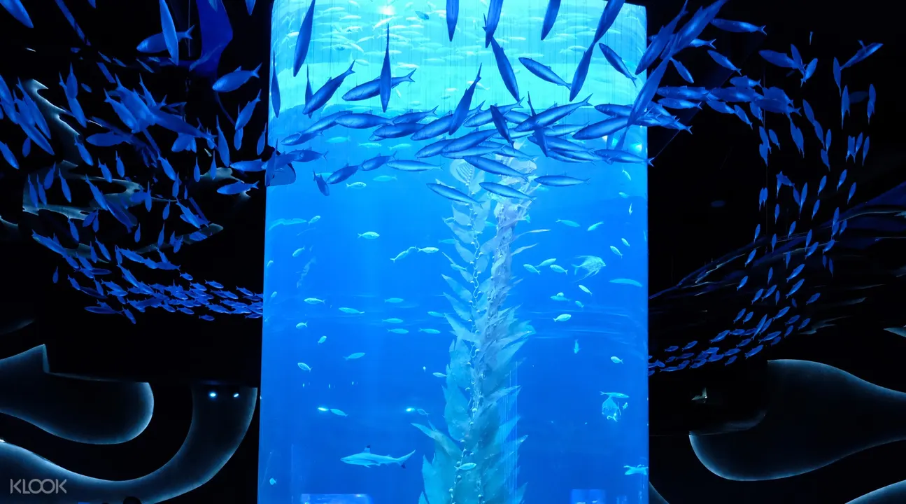 Jakarta Aquarium Ticket Neo Soho Experience The Sea Explorer 5d Klook Hong Kong Jakarta Aquarium Ticket Neo Soho Experience The Sea Explorer 5d Klook Hong Kong