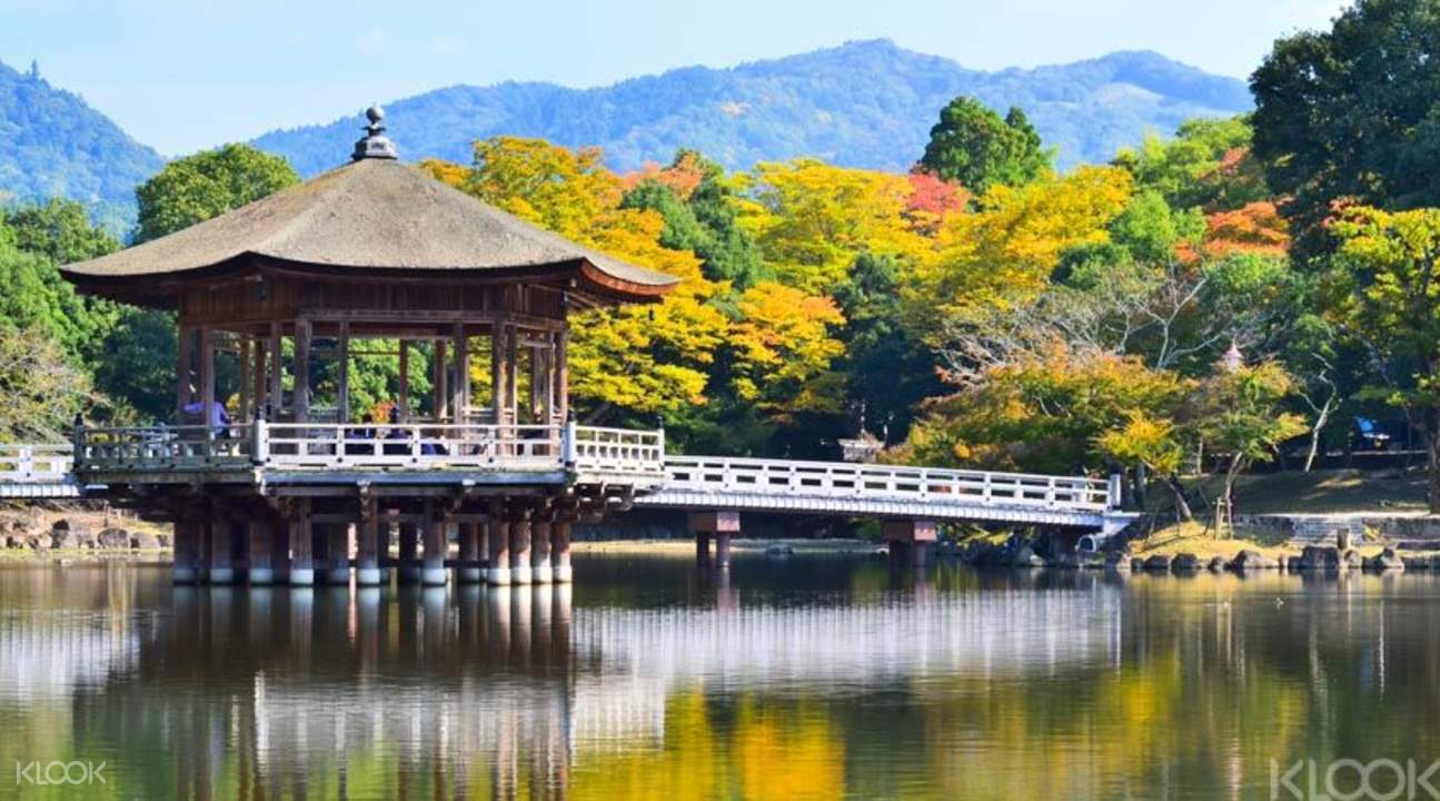 Nara Afternoon Tour from Osaka