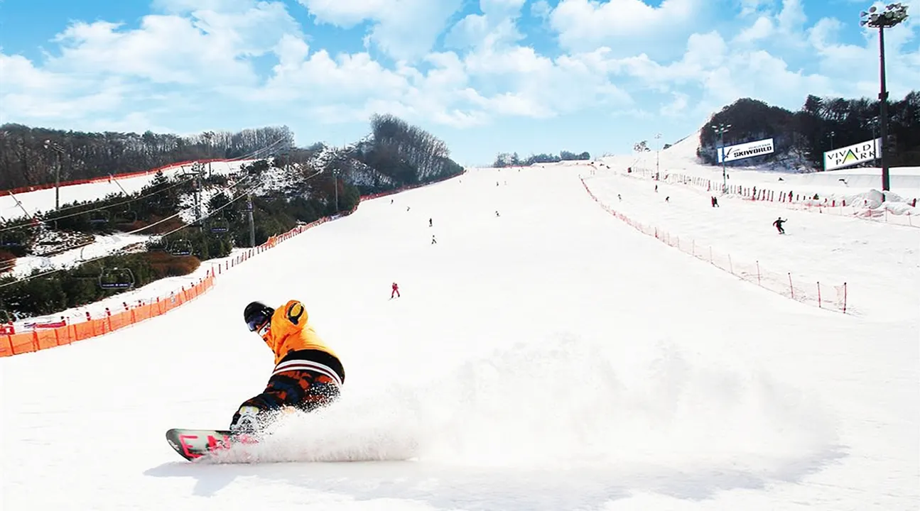 江原道洪川大明Vivaldi Park滑雪一日遊