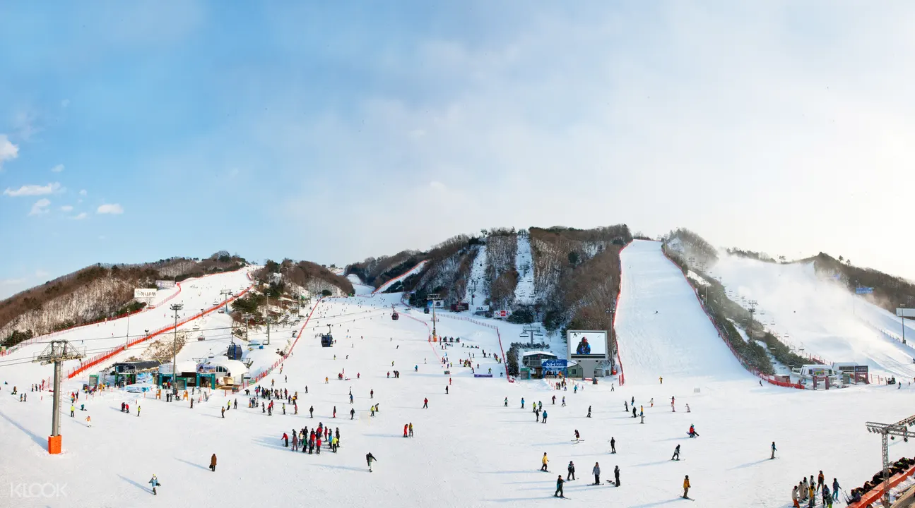 洪川大明vivaldi park滑雪场