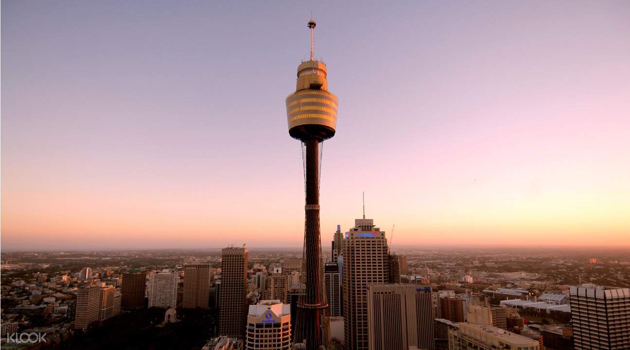 Image result for sydney tower