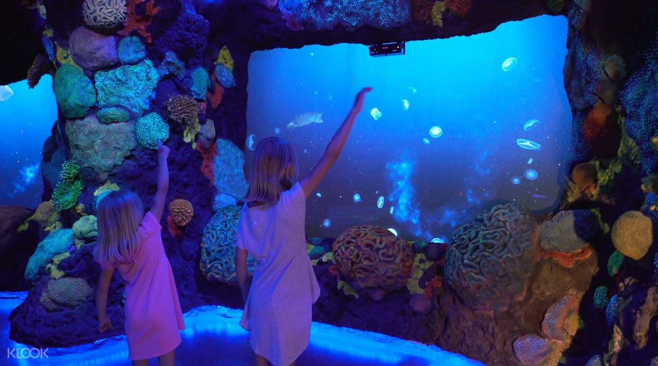 National Geographic Encounter: Ocean Odyssey Admission Ticket in New York