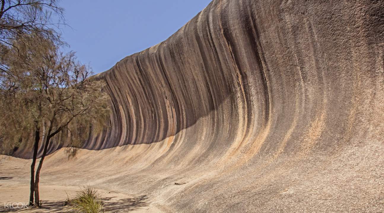 Wave Rock, York, Wildflowers & Aboriginal Culture Day Trip from Perth
