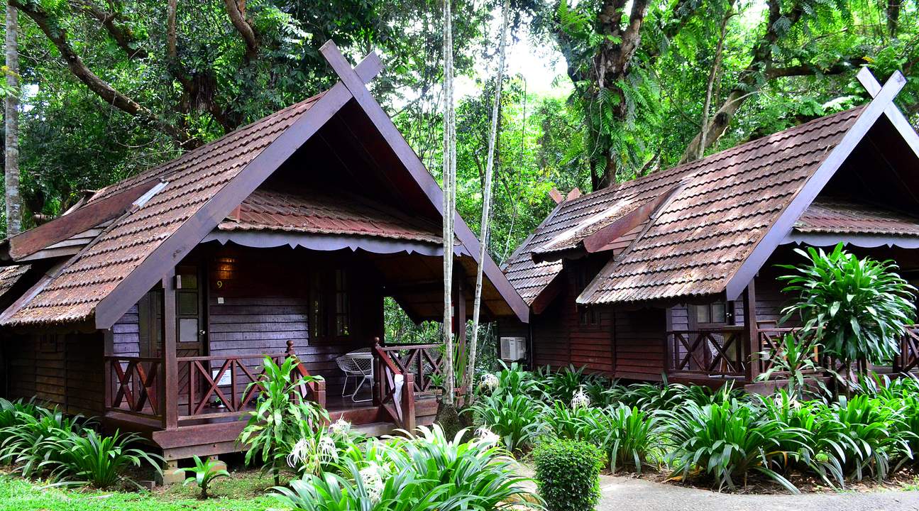 Tur Satu Hari Taman Negara National Park