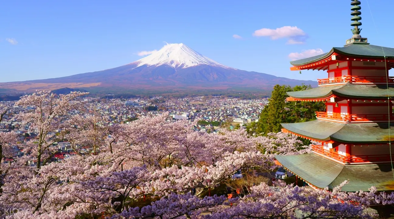 Mt Fuji And Lake Kawaguchi Scenic Spots Day Tour Dari Tokyo
