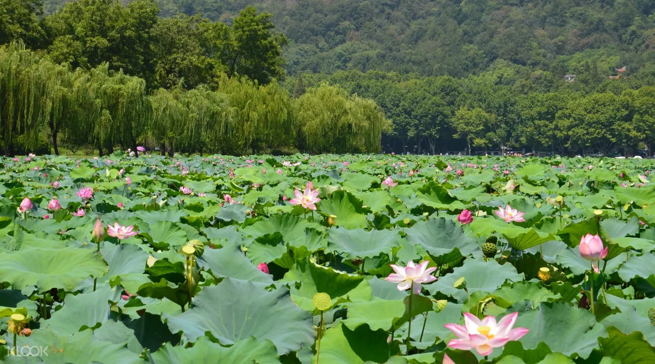 杭州西湖一日遊