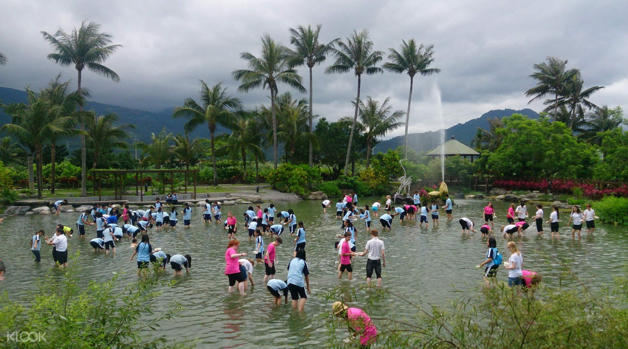 Golden Clam Picking Experience in Hualien - Klook Malaysia