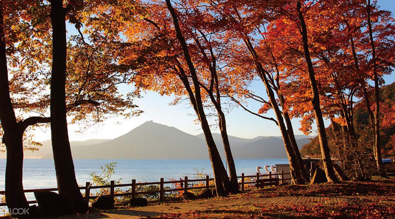 秋季限定 北海道秋季红叶一日导赏 支笏湖 丰平峡水库 小樽 札幌出发 Klook客路中国 秋季限定 北海道秋季红叶一日导赏 支笏湖 丰平峡水库 小樽 札幌出发 Klook客路中国