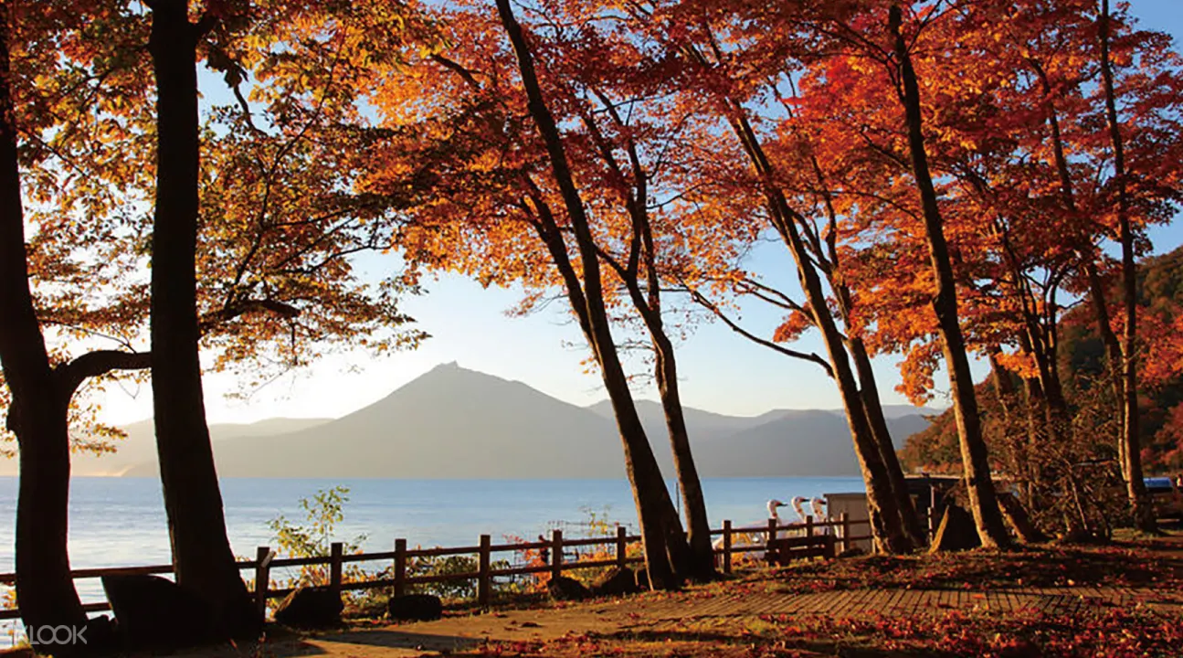 秋季限定 北海道秋季红叶一日导赏 支笏湖 丰平峡水库 小樽 札幌出发 Klook客路中国 秋季限定 北海道秋季红叶一日导赏 支笏湖 丰平峡水库 小樽 札幌出发 Klook客路中国