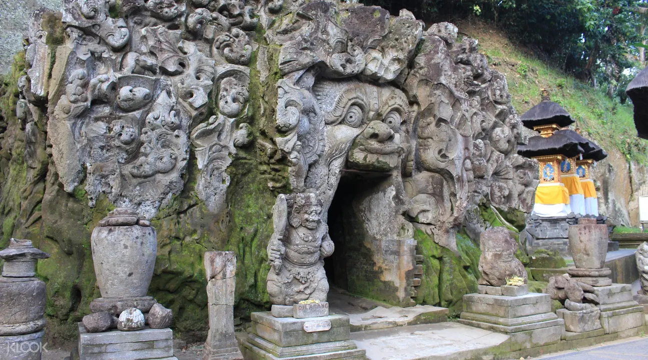 Gao Gajah Tegalalang Rice Field and Monkey Forest Full Day Tour in Ubud