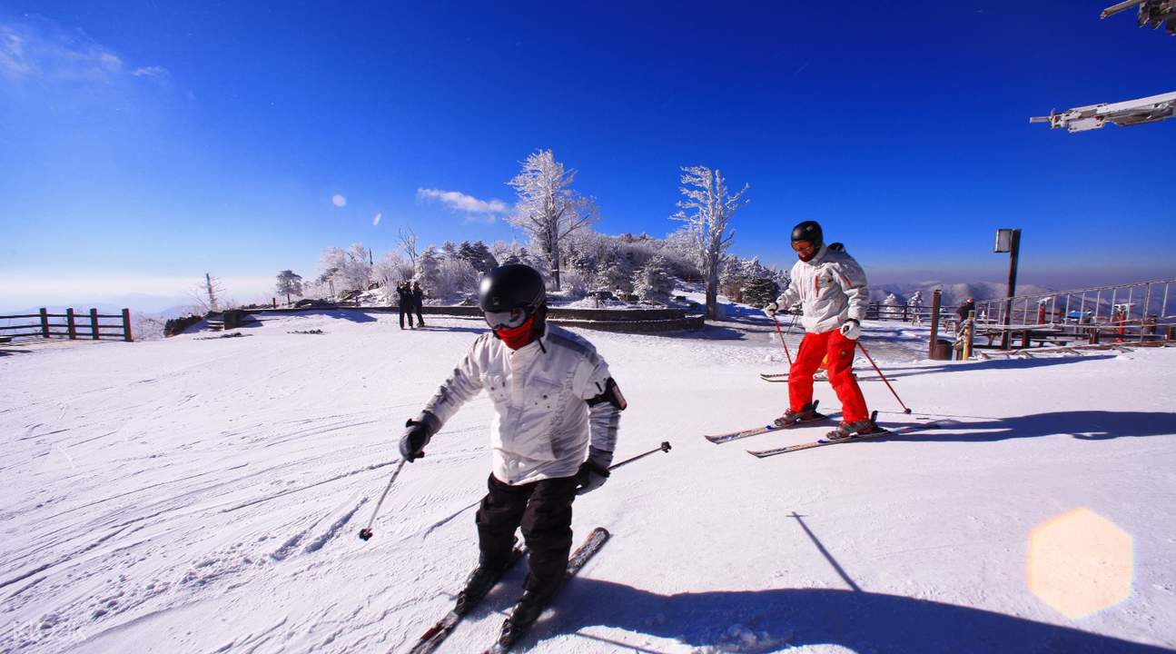 2018 paralympic winter games & ski day tour from gangwon-do
