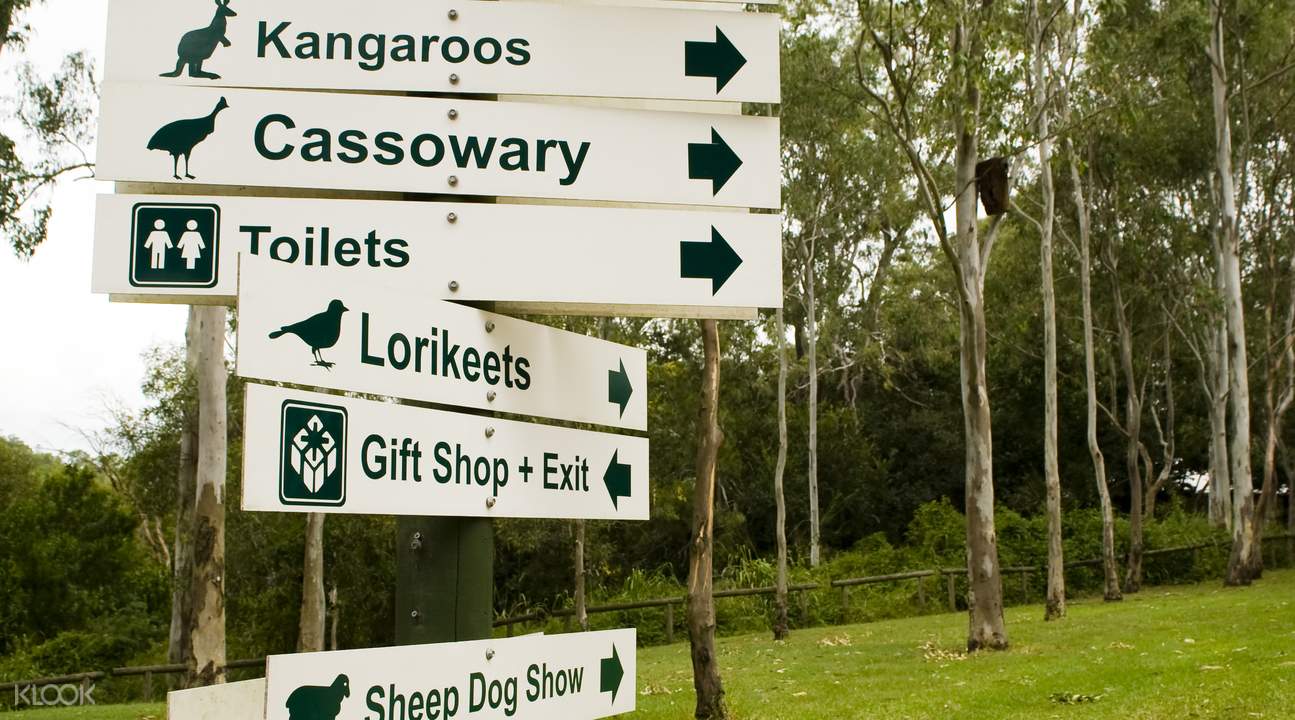 4D3N Brisbane and Australia Zoo Tour Klook Singapore 4D3N Brisbane and Australia Zoo Tour Klook Singapore
