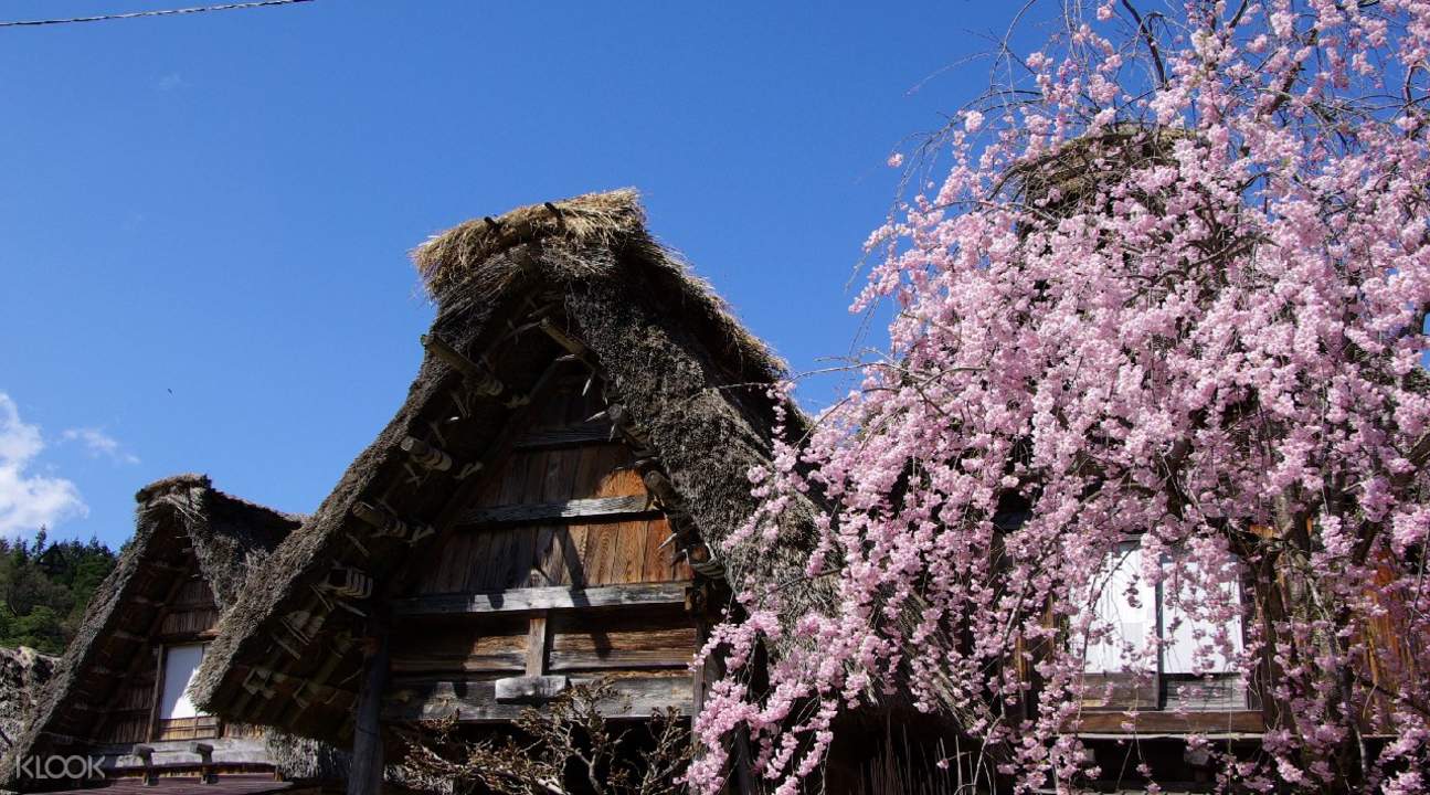 白川鄉合掌村