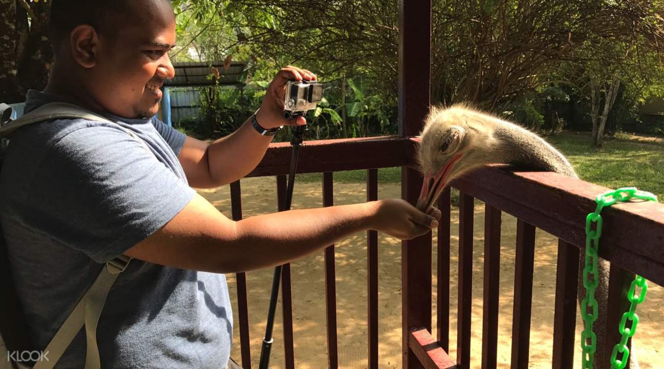 Up To 15 Off Langkawi Wildlife Park Admission Ticket In Malaysia Klook Singapore
