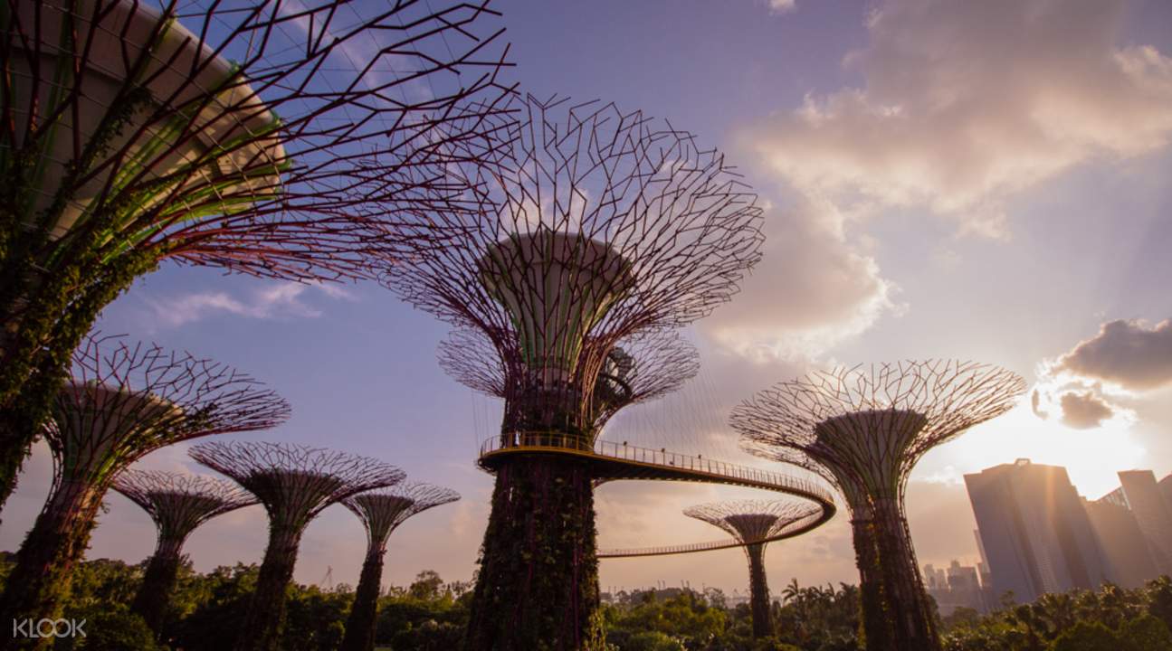 Singapore Gardens By The Bay Tickets Cloud Forest Flower Dome