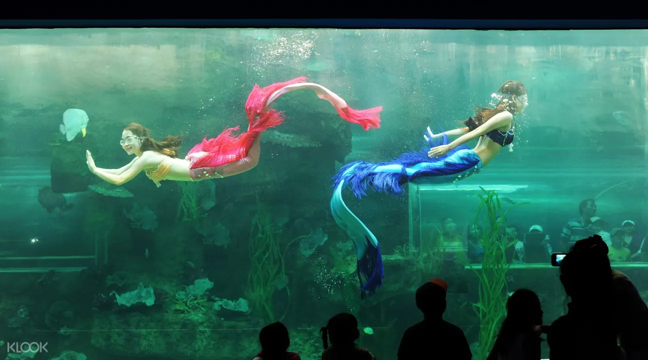 Vinpearl Land aquarium