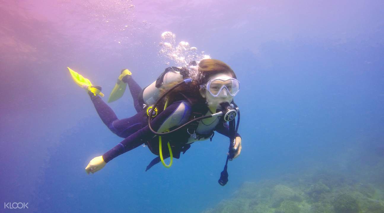 東北鼻頭角潛水