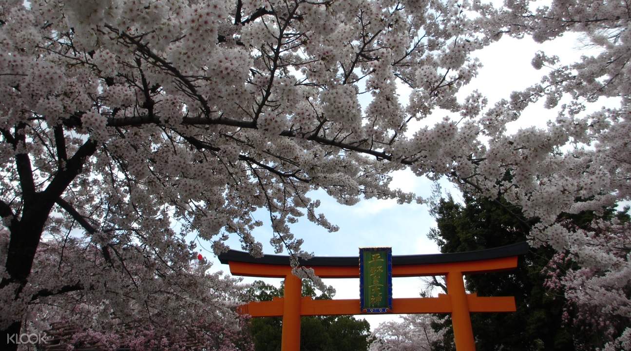 京都平野神社 & 哲学之道 赏樱半日游
