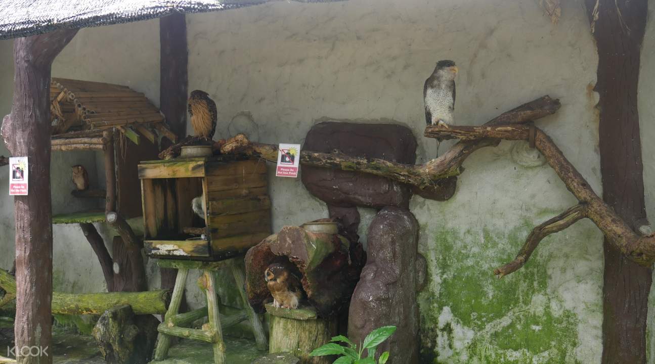 Tiket Masuk Taman Burung Kl Dengan Layanan Transportasi Satu Arah Di Kuala Lumpur