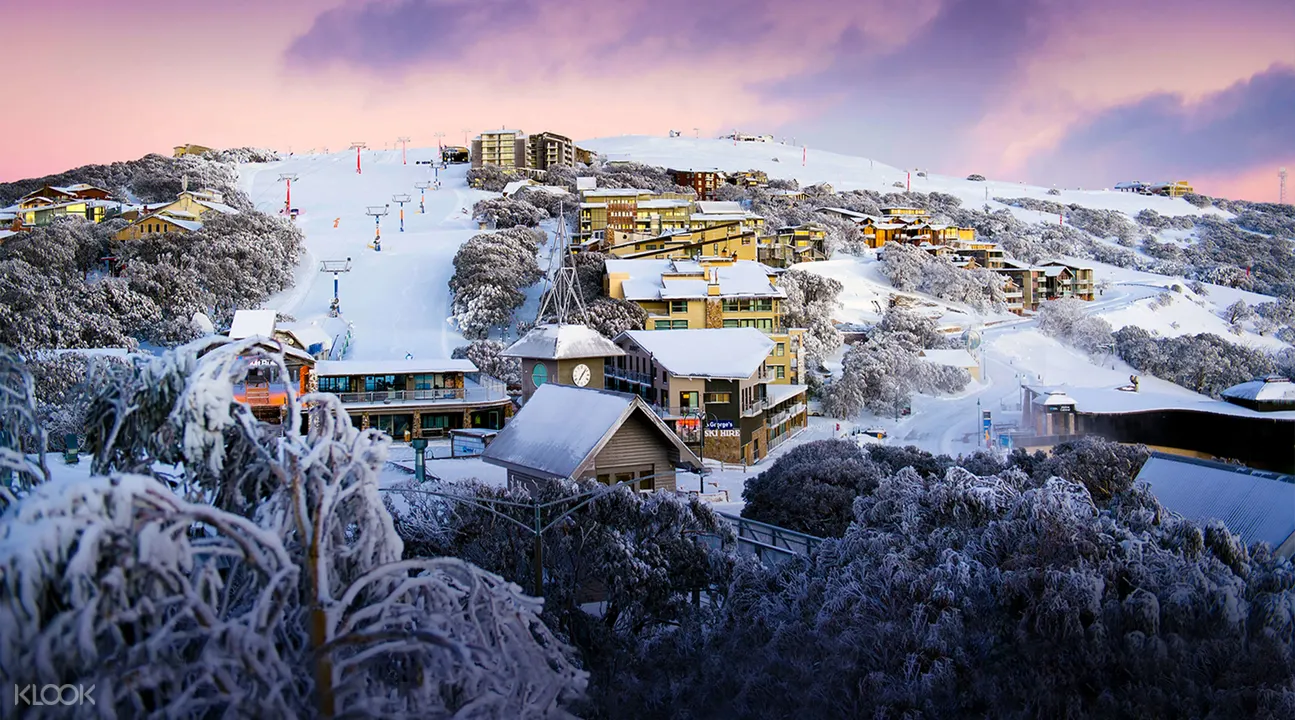 Mt. Buller Ski Experience