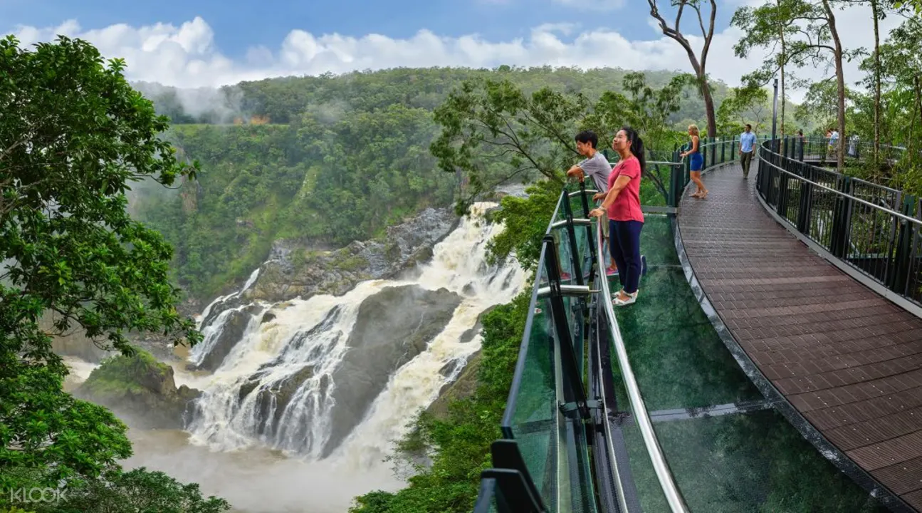 Tiket Rainforest Cableway Skyrail