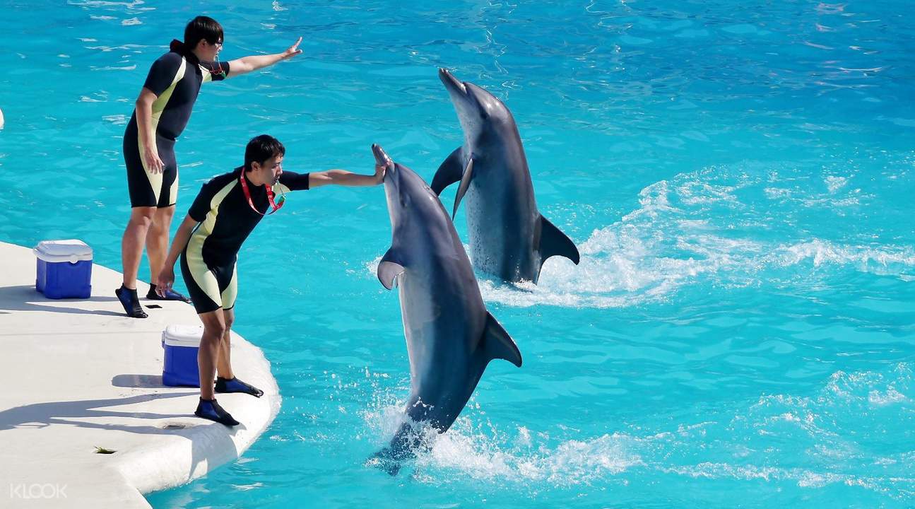 海洋公園台北