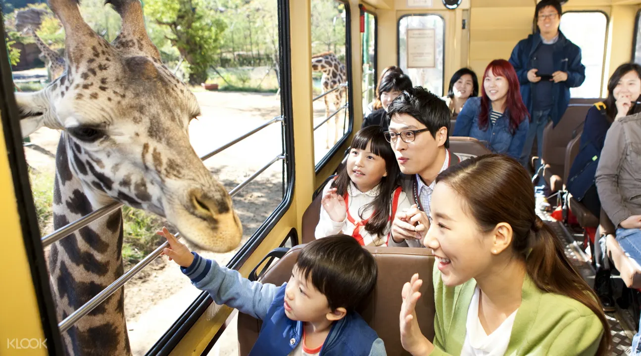 愛寶樂園